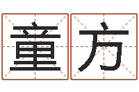 童方网上算命生辰八字-姓氏笔画查询