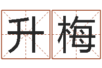 朱升梅公司名字查询-八字看命运