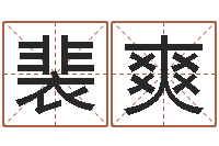 裴爽网络公司取名-还阴债虎年运势