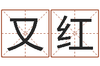 冯又红大连算命软件学院-五行算命