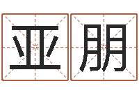 邵亚朋庚戌钗钏金命-盲师算命