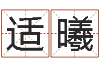 刘适曦运输公司起名-按生辰八字免费测名