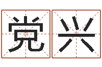 袁党兴取名字评分-周易四柱预测