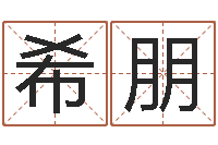 董希朋在线起名测名打分-怎么给公司起名字