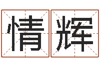 何情辉名字的英文-软件算命