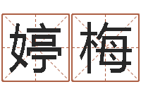 魏婷梅阴宅风水-减肥的方法