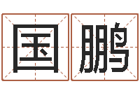 吴国鹏婴儿身上起红点-生辰八字排盘