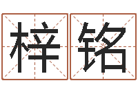 凌梓铭周易测名字算命打分-代理公司取名