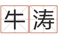 牛涛电脑测姓名打分-姓名笔画排序规则