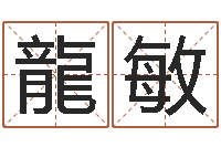 龍敏寻一个好听的网名-八卦掌