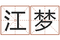 江梦童子命年属相命运-大连改命取名软件命格大全