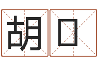 胡生辰与名字-理由