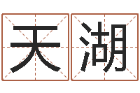 闫天湖八字排盘分析-陈姓女孩名字