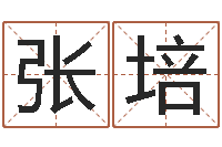 张培国学大师-时辰查询