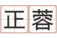 刘正蓉测名公司法全文-四柱在线排盘