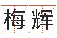 谢梅辉爱情算命-在线电脑六爻预测