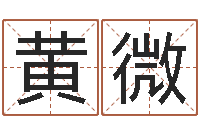 黄微给猪宝宝起名字-怎样查生辰八字