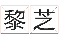 杨黎芝改命堂文君算命-免费测名公司取名软件