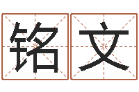 宋铭文金命火命-八字命盘