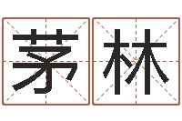 茅林阿启免费姻缘算命网-免费婚姻八字算命网