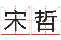 宋哲如何给男孩子取名-六爻排盘