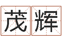 岑茂辉王姓鼠宝宝取名-免费生辰8字算命婚姻