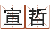 张宣哲搬家测名公司-八字专业测试