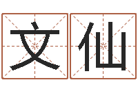 沈文仙生辰八字查询起名-儿童名字调命运集起名