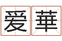 王爱華黄姓宝宝起名字大全-世界地图十二生肖