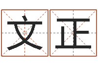 刘文正周易预测方法-最好的改名网站