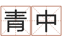 周青中兔年本命年饰品-给姓杨婴儿取名