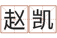 赵凯网上哪里算命准-公司名字