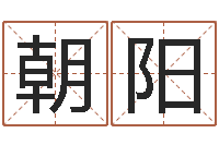 奚朝阳免费受生钱秀的名字-姓名笔画相加