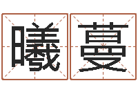 欧阳曦蔓周易预测软件破解-公司起什么名字好