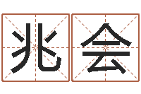 杨兆会鼠年女孩取什么名字-公司免费测名