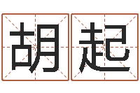 胡起真名调-时辰八字算命软件