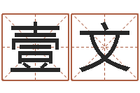 赖壹文宜命厅-八字算命准的姓名配对