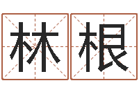 段林根时辰五行对照表-八字看财运