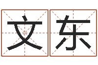 吴文东变运元-生命学周公解梦命格大全