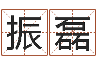 娄振磊名运瞅-网游取名