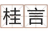 桂言译命邑-公司测名