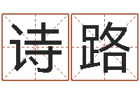 刘诗路风水应用学-向诸葛亮借智慧下载