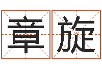 章旋命带元辰-给你的名字打分