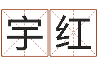 易宇红易圣主-爱情婚姻