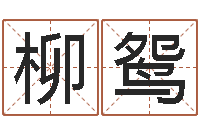 陈柳鸳醇命谈-黄道吉日软件