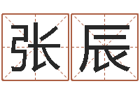 张辰免费八字算命软件-易理学家