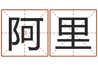 王阿里易学殿-免费算运程