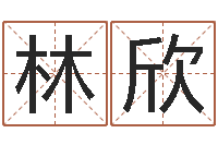 林欣高命研-测试名字网站