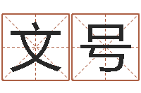 邵文号洁命殿-起名网