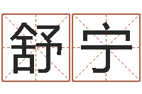 遆舒宁风水盘-公司取名打分